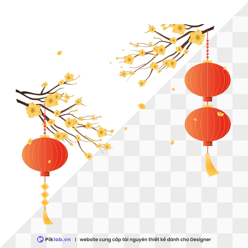 Design resource yellow apricot branch hanging red lantern happy new year tet holiday isolated on transparent mai vàng đèn lồng đỏ PNG tết